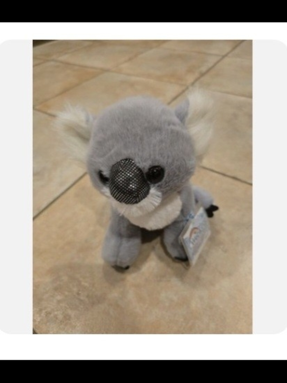 Webkinz New First Gen Koala